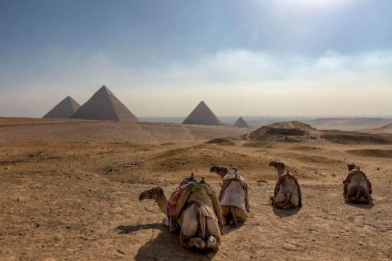 Panoramic view across the Giza Plateau with the pyramids and resting camels